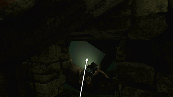 Shadow of the Tomb Raider screenshot