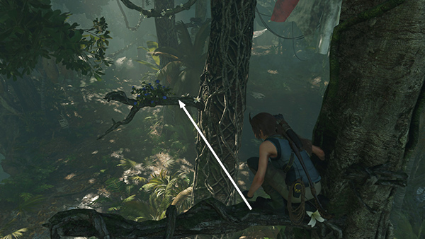 Shadow of the Tomb Raider screenshot