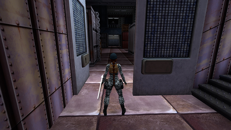 Tomb Raider Chronicles Remastered screenshot