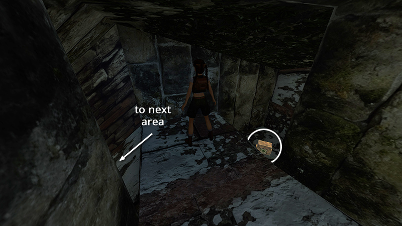 Tomb Raider Chronicles Remastered screenshot