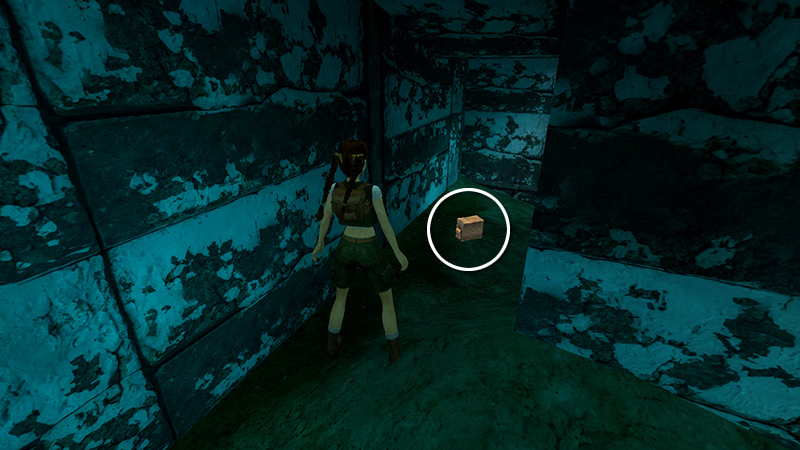 Tomb Raider Chronicles Remastered screenshot