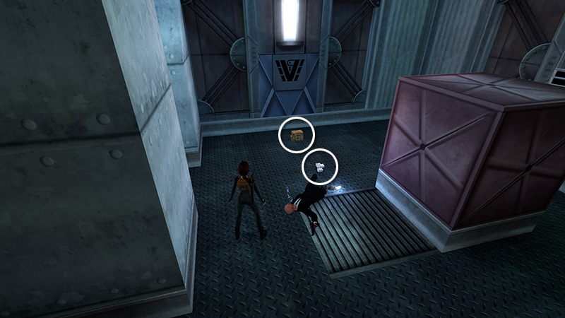 Tomb Raider Chronicles Remastered screenshot