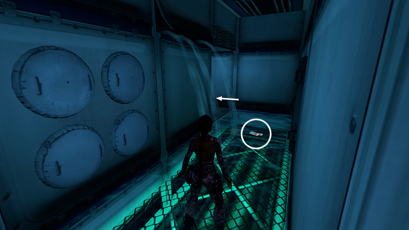 Tomb Raider Chronicles Remastered screenshot