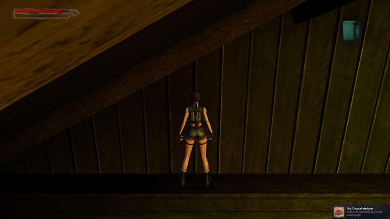 Tomb Raider Angel of Darkness Remastered screenshot
